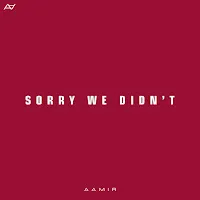 Aamir — Sorry We Didn't — обложка